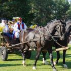 zdjęcie nr 180