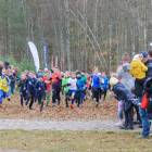 zdjęcie nr 155