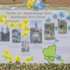 zdjęcie nr 13