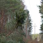 zdjęcie nr 34