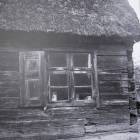 Fotka nr 5 z 26