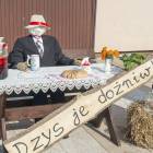zdjęcie nr 44