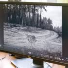 Fotka nr 1 z 5