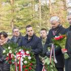 zdjęcie nr 16