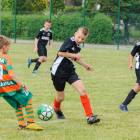 zdjęcie nr 31
