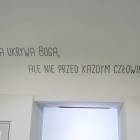 zdjęcie nr 8