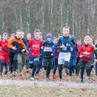 zdjęcie nr 12