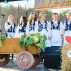 zdjęcie nr 17