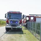 Fotka nr 1 z 11
