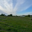 zdjęcie nr 