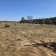 zdjęcie nr 