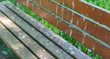 „Gówniany