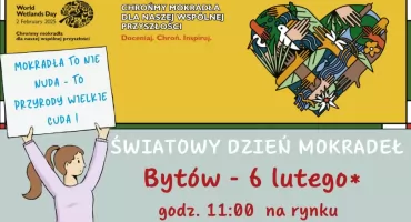 Manifest „bagienny” w Bytowie
