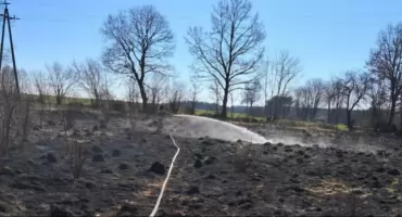 Znów paliła się trawa. Tym razem w Kołczygłowach i Żukówku
